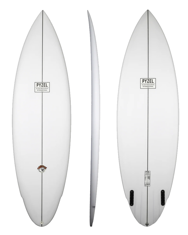 プヤ セルーレア P ワイルドタイプ プヤ セルーレア P ワイルドタイプ プヤ セルーレア P ワイルドタイプ